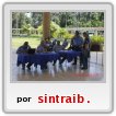 elecciones de delegados y delegadas de prevenci�n 2011