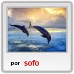 Delfines