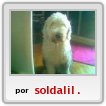 Sol