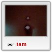 mi pansa