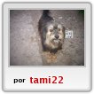 amiga tania