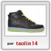 nike dunk