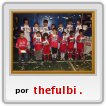 CAt 94 almohadones