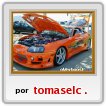 mis autos