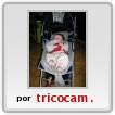 Solo me las arreglo