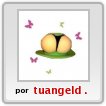 accesorios