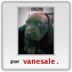 lindoooooo