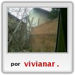 mis vecinos el pared�n
