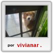 mi perro