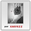 tomando,foto