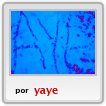 nieve,aye