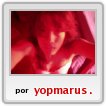yop,comenzando