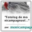 Fotolog de monicampagnuolo